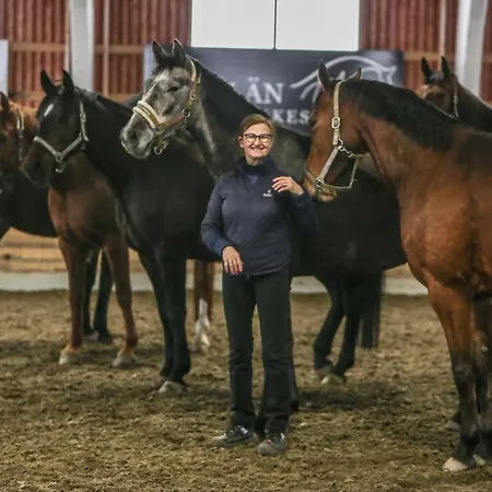 Siirilaen Tila Сейняйоки