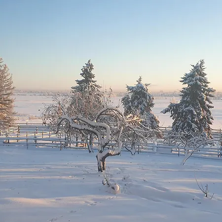 Siirilaen Tila Летний дом *