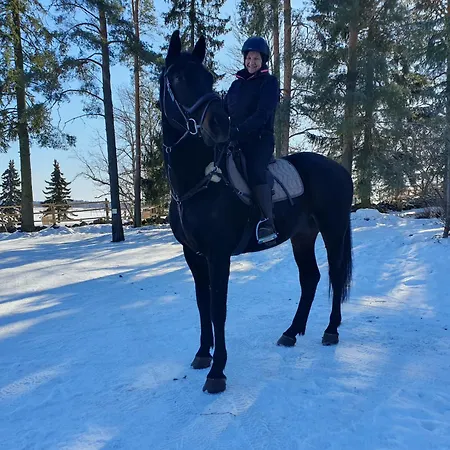 Siirilaen Tila Летний дом *