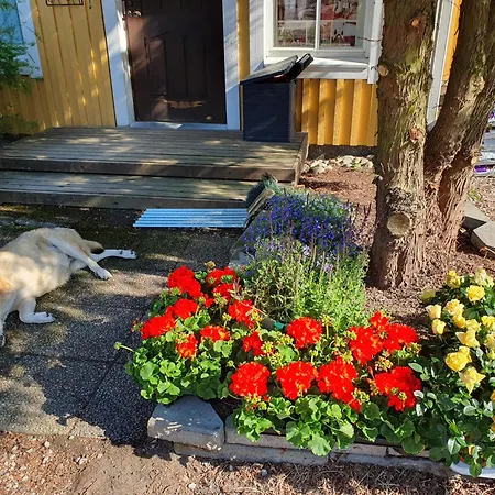 Летний дом Siirilaen Tila