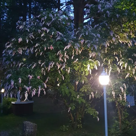 Siirilaen Tila Seinäjoki