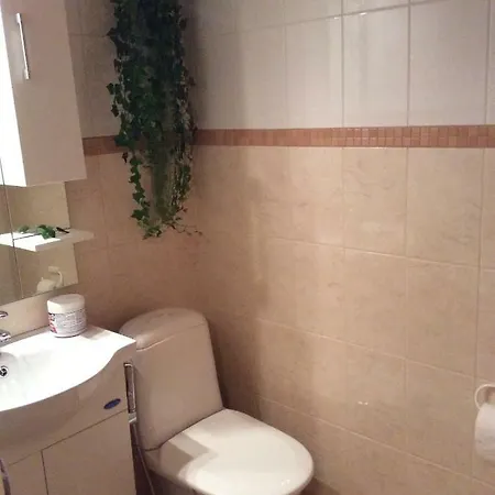 Siirilaen Tila Kır Evi
